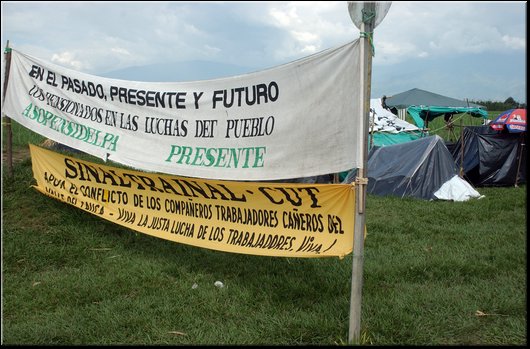 15 Ingenio Mayaguez.jpg