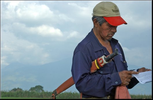 29 Ingenio Mayaguez.jpg