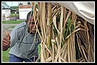13 Ingenio Mayaguez.jpg
