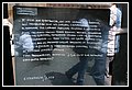 043.jpg