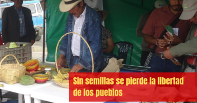 Sin semillas se pierde la libertad de los pueblos Sin semillas se pierde la libertad de los pueblos