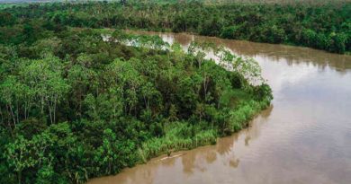 Caravana por la Vida, el Territorio y la Dignidad de los pueblos del Bajo Atrato, Chocó, Colombia. Caravana por la Vida, el Territorio y la Dignidad de los pueblos del Bajo Atrato, Chocó, Colombia.